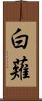 白薙 Scroll