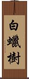 白蠟樹 Scroll