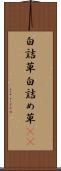 白詰草 Scroll