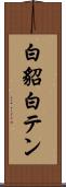 白貂 Scroll