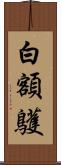 白額鸌 Scroll