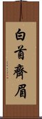 白首齊眉 Scroll