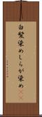 白髪染め Scroll