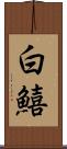 白鱚 Scroll