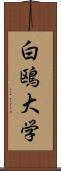 白鴎大学 Scroll