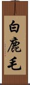 白鹿毛 Scroll