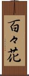 百々花 Scroll