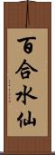 百合水仙 Scroll