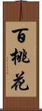 百桃花 Scroll