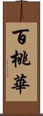 百桃華 Scroll