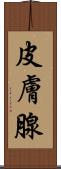 皮膚腺 Scroll