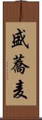 盛蕎麦 Scroll