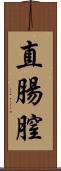 直腸膣 Scroll