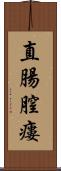 直腸膣瘻 Scroll
