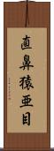 直鼻猿亜目 Scroll