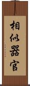 相似器官 Scroll