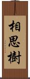 相思樹 Scroll