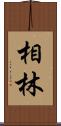 相林 Scroll