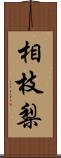 相枝梨 Scroll