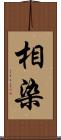 相染 Scroll