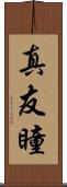 真友瞳 Scroll