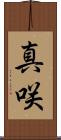 真咲 Scroll