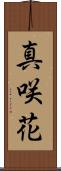 真咲花 Scroll