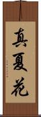 真夏花 Scroll