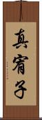 真宥子 Scroll