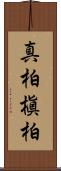 真柏 Scroll