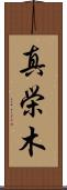 真栄木 Scroll