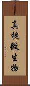 真核微生物 Scroll