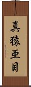 真猿亜目 Scroll