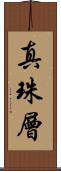 真珠層 Scroll