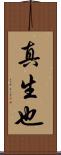 真生也 Scroll