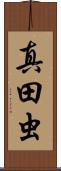 真田虫 Scroll