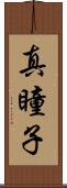 真瞳子 Scroll