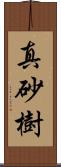 真砂樹 Scroll