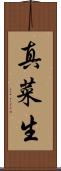 真菜生 Scroll