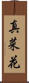 真菜花 Scroll