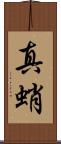 真蛸 Scroll