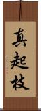 真起枝 Scroll