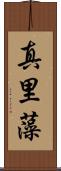 真里藻 Scroll