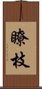 瞭枝 Scroll