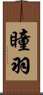 瞳羽 Scroll