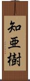 知亜樹 Scroll