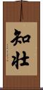 知壮 Scroll