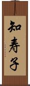 知寿子 Scroll