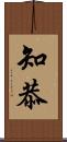 知恭 Scroll