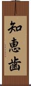 知恵歯 Scroll